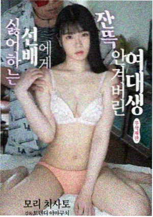 长夜回声剧集封面图